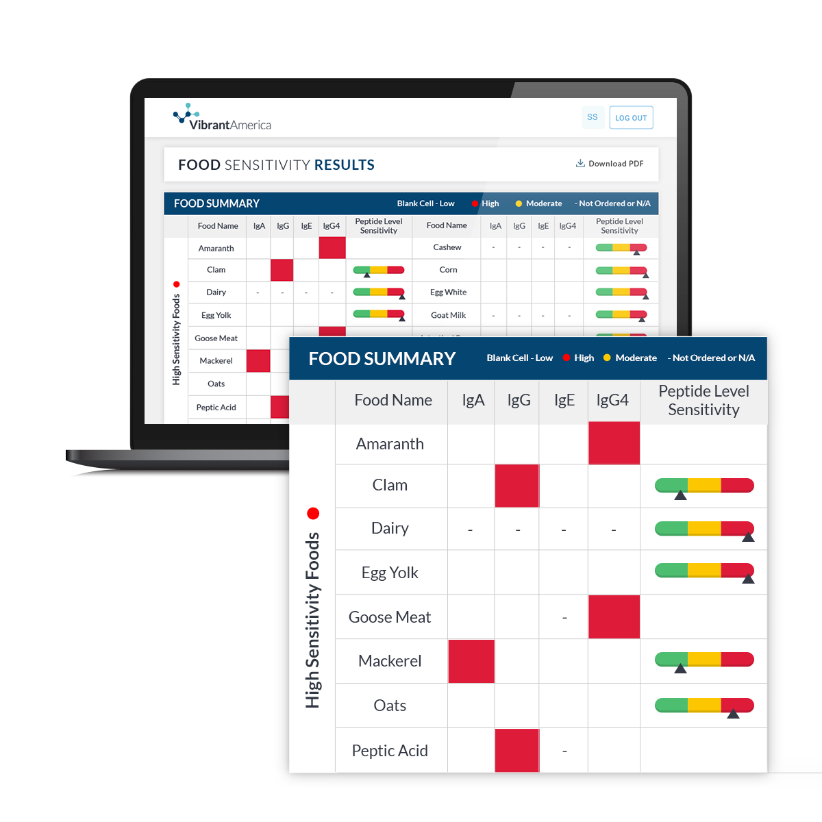 Complete Food Sensitivity Test