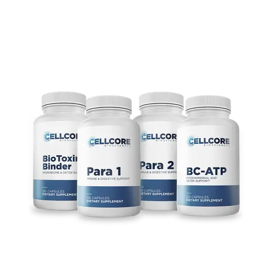 Dr. Rob's Solutions for Gut and Immune Support - Phase 2