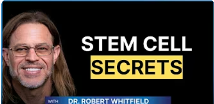 What Can Adipose-Derived Stem Cells From Fat Transfer Actually Do for Recovery?
