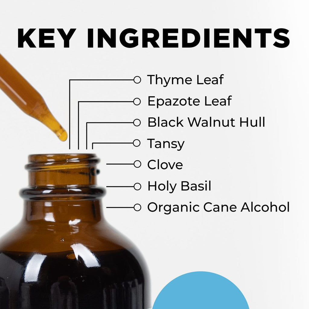 Para 3 key ingredients