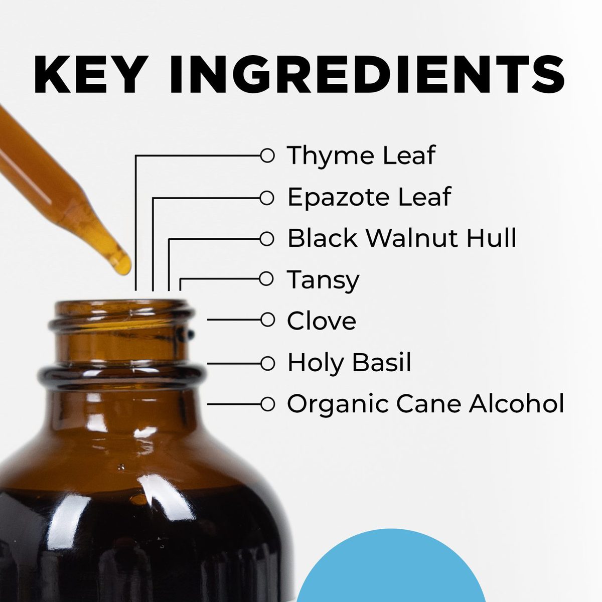 Para 3 key ingredients
