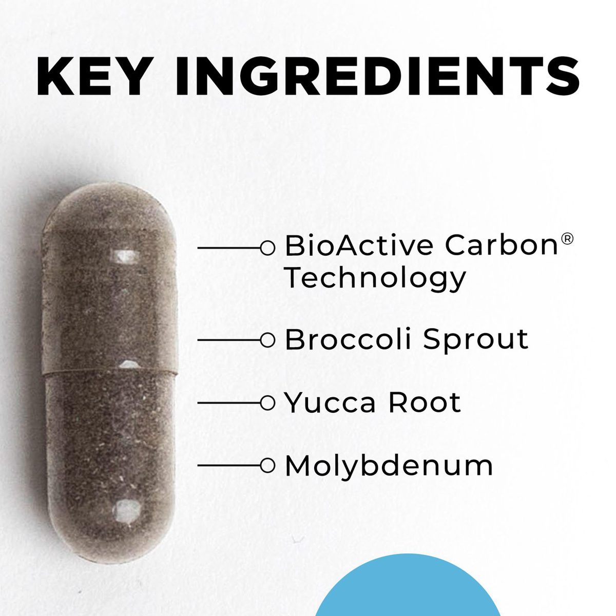 BioToxin Binder key ingredients