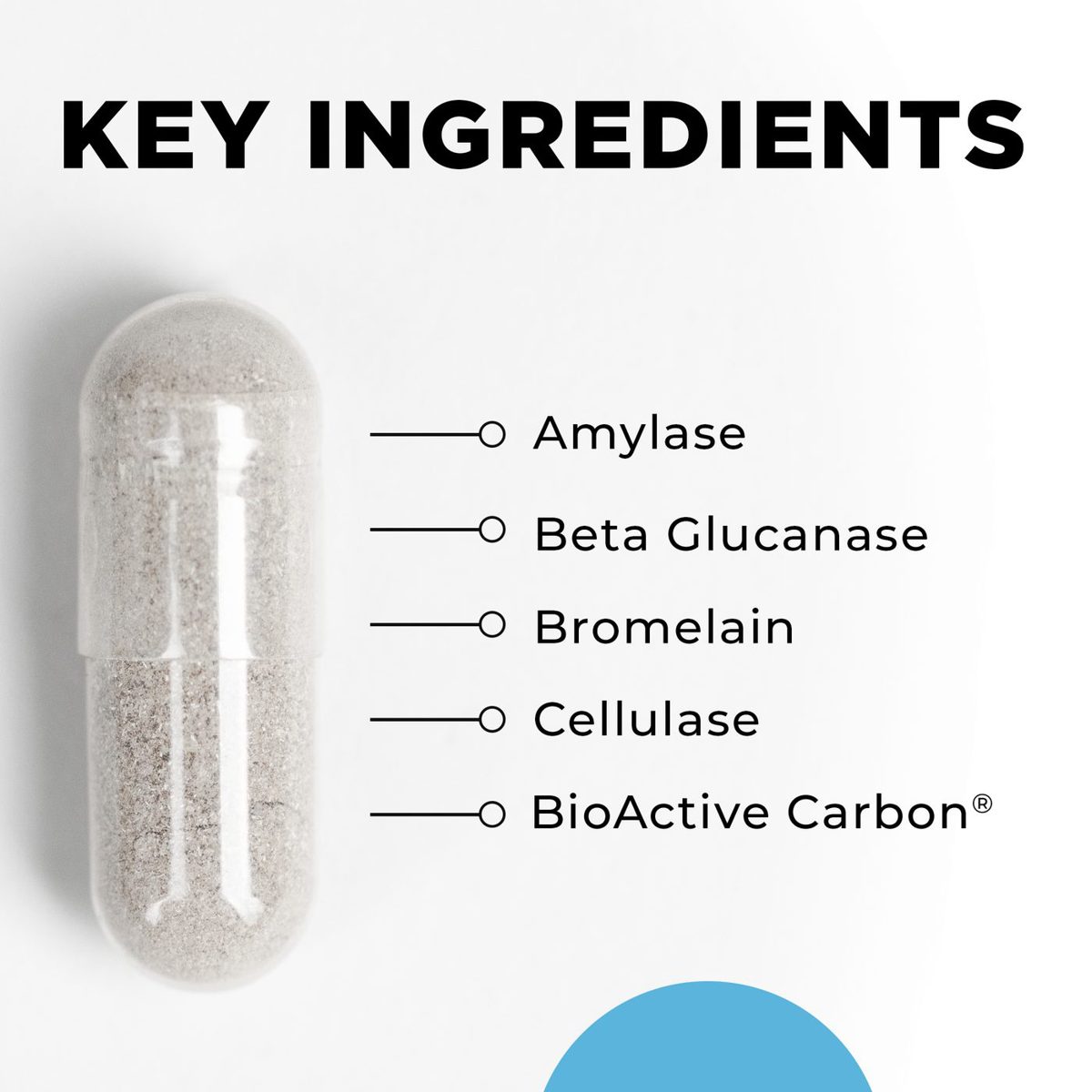 CT-Zyme key ingredients