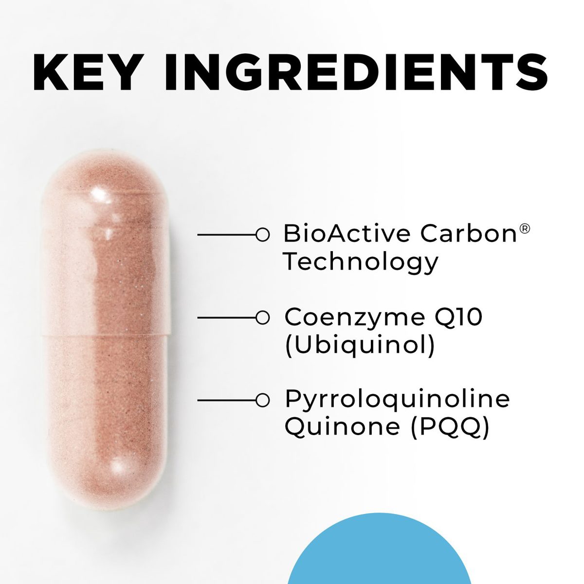 MitoActive key ingredients