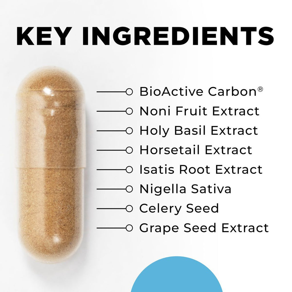 Para 4 key ingredients