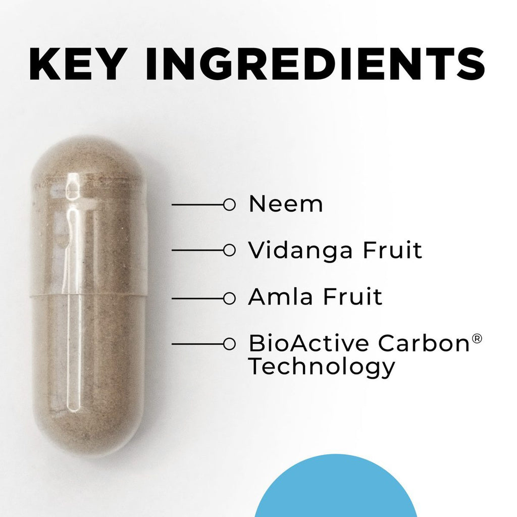 Para 2 key ingredients
