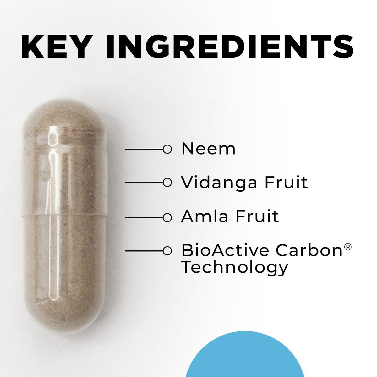 Para 2 key ingredients