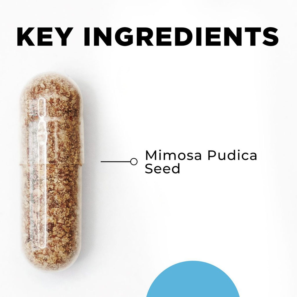 Para 1 key ingredients