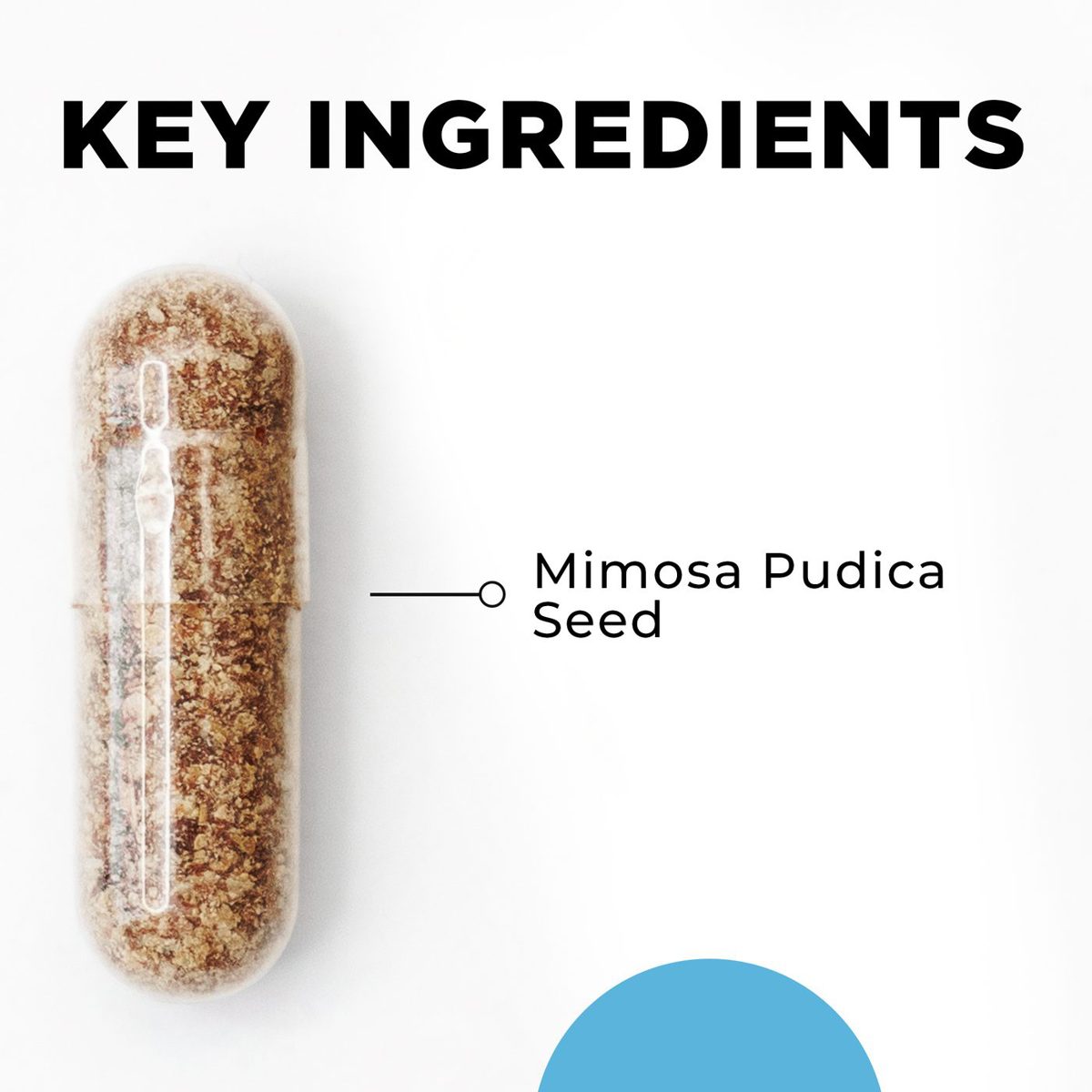 Para 1 key ingredients