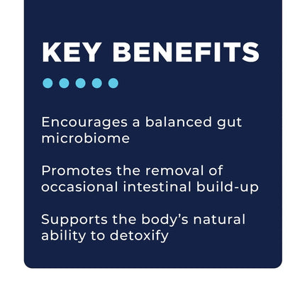 Dr. Rob's Solutions for Gut and Immune Support - Phase 2