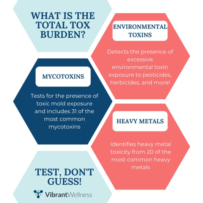 Total Tox Burden Test